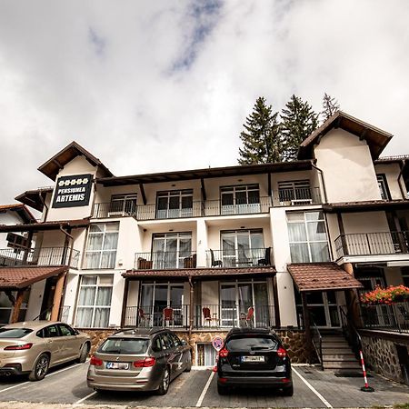 Artemis Villa Poiana Brasov Exterior foto