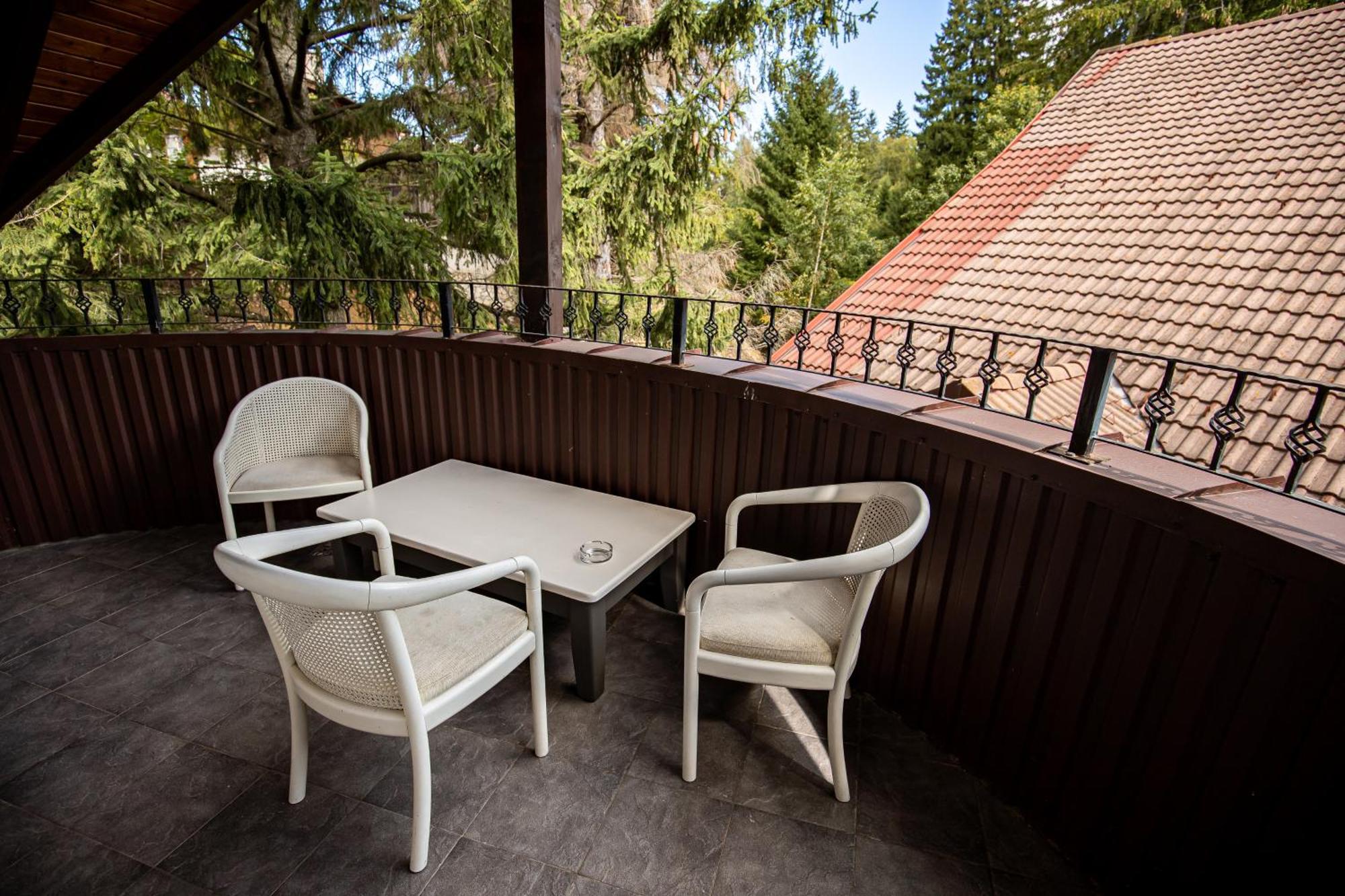 Artemis Villa Poiana Brasov Exterior foto