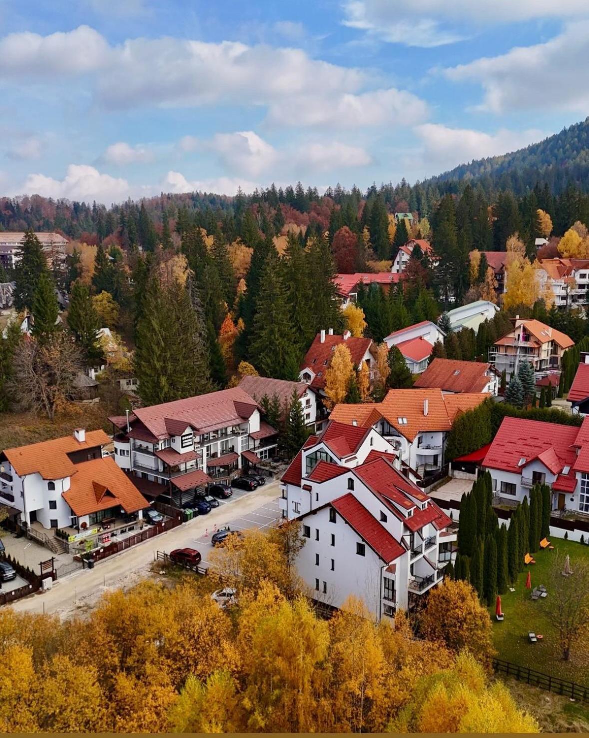 Artemis Villa Poiana Brasov Exterior foto